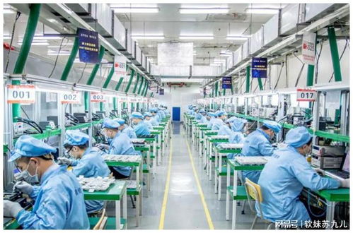 富士康全面撤離中國(guó) 對(duì)中國(guó)制造業(yè)與計(jì)算機(jī)軟硬件技術(shù)開(kāi)發(fā)的沖擊與思考